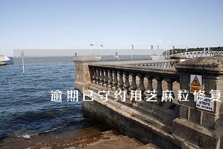 逾期已守约用芝麻粒修复后 逾期已守约用芝麻粒修复后