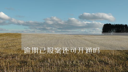 逾期已报案还可开通吗 逾期已报案还可开通吗