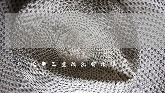 逾期已整改法律依据 逾期已整改法律依据
