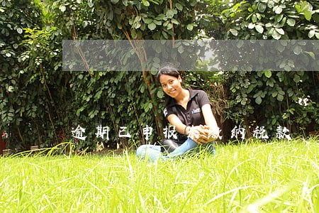 逾期已申报未缴纳税款 逾期已申报未缴纳税款