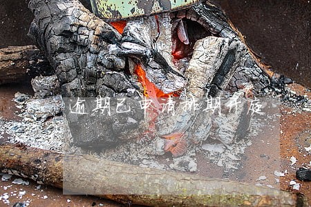 逾期已申请排期开庭