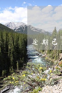 逾期已立案留案底 逾期已立案留案底