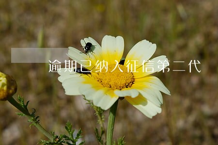 逾期已纳入征信第二代 逾期已纳入征信第二代
