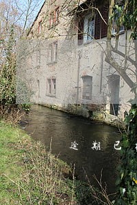 逾期已经结清 逾期已经结清