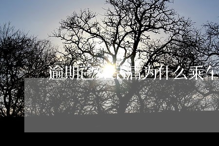 逾期已经结清为什么乘车码不能用 逾期已经结清为什么乘车码不能用