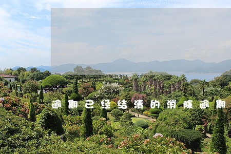 逾期已经结清的消除逾期记录 逾期已经结清的消除逾期记录