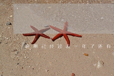 逾期已经过去一年了还有影响吗 逾期已经过去一年了还有影响吗