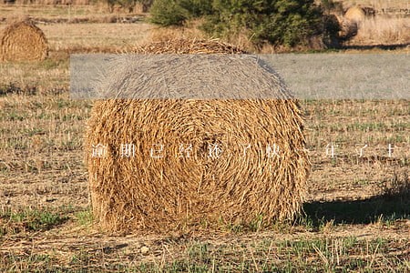 逾期已经还了快一年了上征信 逾期已经还了快一年了上征信