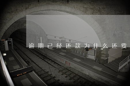 逾期已经还款为什么还要等五年 逾期已经还款为什么还要等五年
