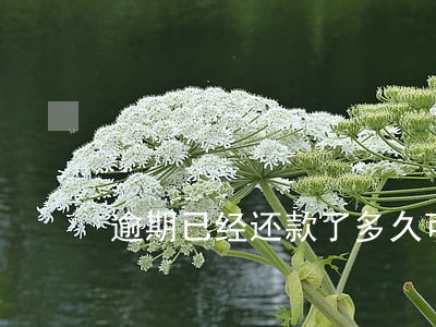 逾期已经还款了多久可以买房 逾期已经还款了多久可以买房