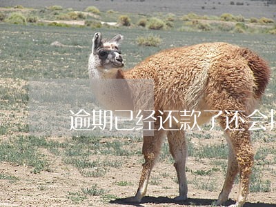 逾期已经还款了还会打电话吗 逾期已经还款了还会打电话吗