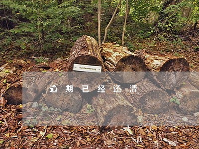 逾期已经还清 逾期已经还清