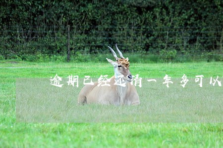 逾期已经还清一年多可以销卡吗 逾期已经还清一年多可以销卡吗