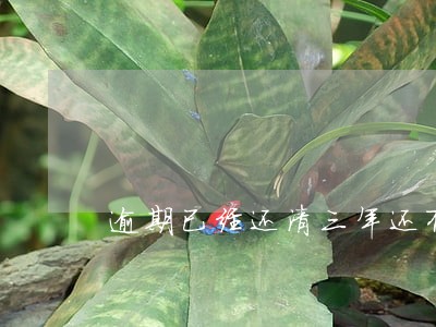 逾期已经还清三年还有影响么 逾期已经还清三年还有影响么