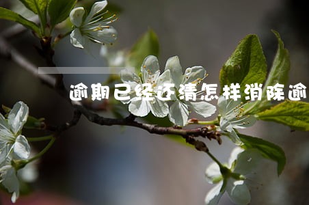 逾期已经还清怎样消除逾期记录 逾期已经还清怎样消除逾期记录