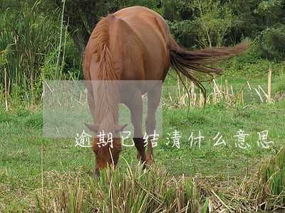 逾期已结清什么意思 逾期已结清什么意思