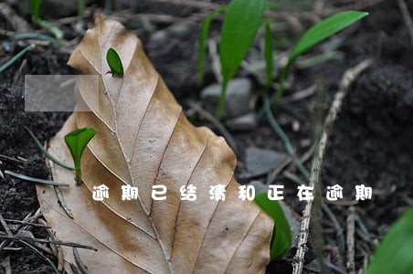 逾期已结清和正在逾期 逾期已结清和正在逾期