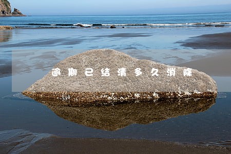 逾期已结清多久消除 逾期已结清多久消除