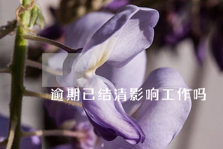 逾期已结清影响工作吗 逾期已结清影响工作吗