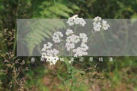逾期已结清还是结清 逾期已结清还是结清