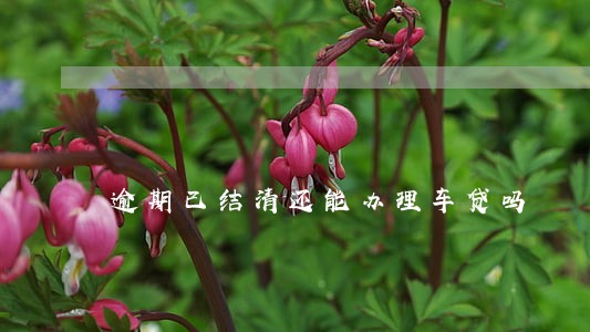 逾期已结清还能办理车贷吗 逾期已结清还能办理车贷吗