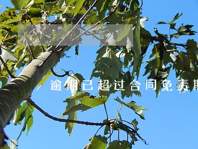 逾期已超过合同免责期 逾期已超过合同免责期