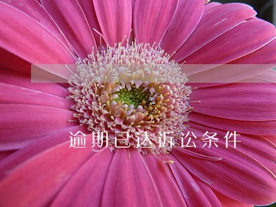 逾期已达诉讼条件 逾期已达诉讼条件