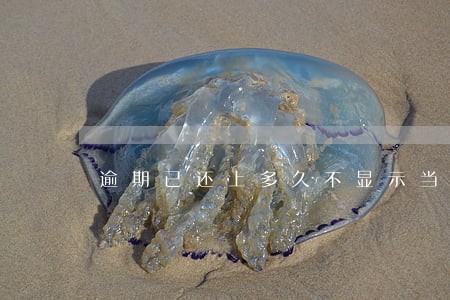 逾期已还上多久不显示当前逾期 逾期已还上多久不显示当前逾期