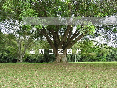 逾期已还图片 逾期已还图片