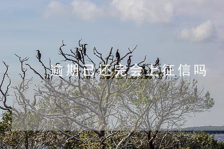 逾期已还完会上征信吗 逾期已还完会上征信吗