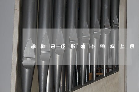 逾期已还影响小朋友上民办吗 逾期已还影响小朋友上民办吗