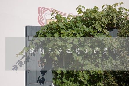 逾期已还征信上还显示 逾期已还征信上还显示