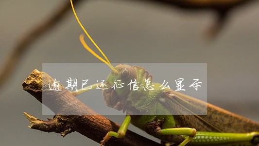 逾期已还征信怎么显示 逾期已还征信怎么显示