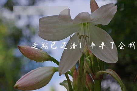 逾期已还清1年半了会影响房贷 逾期已还清1年半了会影响房贷