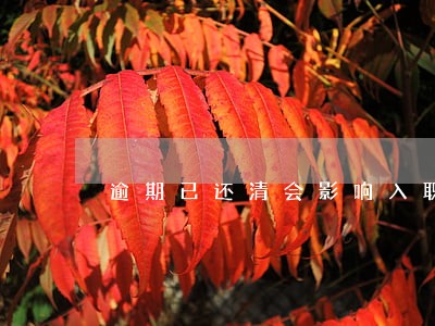 逾期已还清会影响入职吗 逾期已还清会影响入职吗