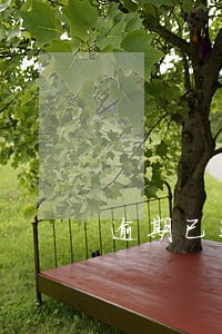 逾期已还清可以购房了吗 逾期已还清可以购房了吗
