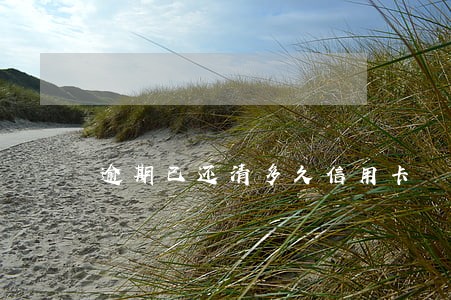 逾期已还清多久信用卡 逾期已还清多久信用卡