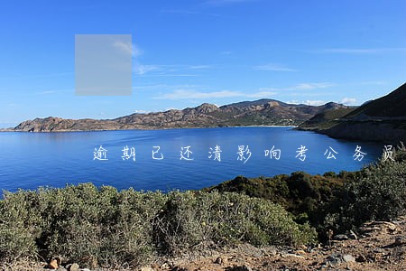逾期已还清影响考公务员吗 逾期已还清影响考公务员吗
