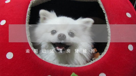 逾期已还清房贷被拒 逾期已还清房贷被拒