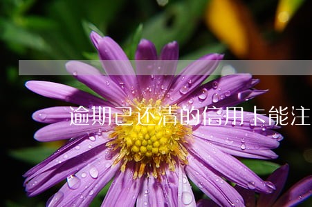 逾期已还清的信用卡能注销吗