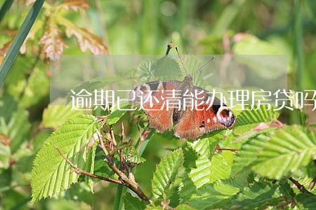 逾期已还清能办理房贷吗 逾期已还清能办理房贷吗