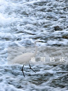 逾期已还清能贷款买车吗 逾期已还清能贷款买车吗