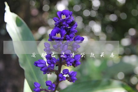 逾期已还清贷款买房 逾期已还清贷款买房
