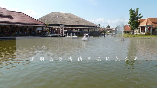 逾期已还清销户征信怎么弄 逾期已还清销户征信怎么弄
