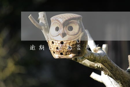逾期已还能否车贷 逾期已还能否车贷