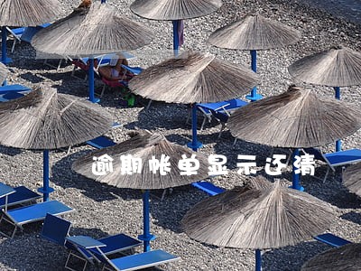 逾期帐单显示还清 逾期帐单显示还清