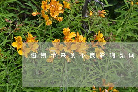 逾期带来的不良影响新闻稿 逾期带来的不良影响新闻稿