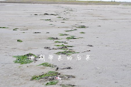 逾期带来的后果 逾期带来的后果