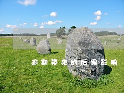 逾期带来的后果影响 逾期带来的后果影响