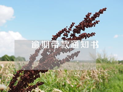 逾期带款通知书 逾期带款通知书